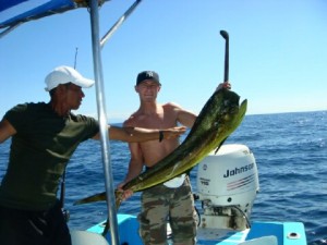 Half day and full day sport fishing charters