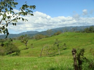 viewfromhorsebacks