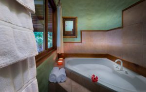 center-east-bedroom-jacuzzi