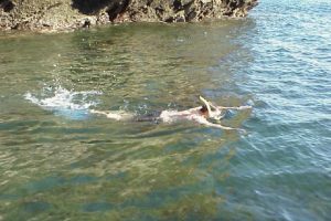 snorkeler